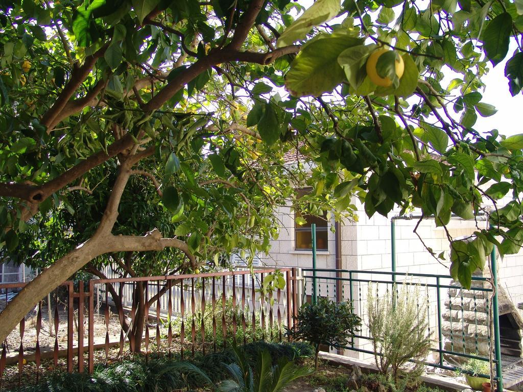 Apartment Davor Carnac Phòng bức ảnh